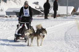 Lenk 2012 SM